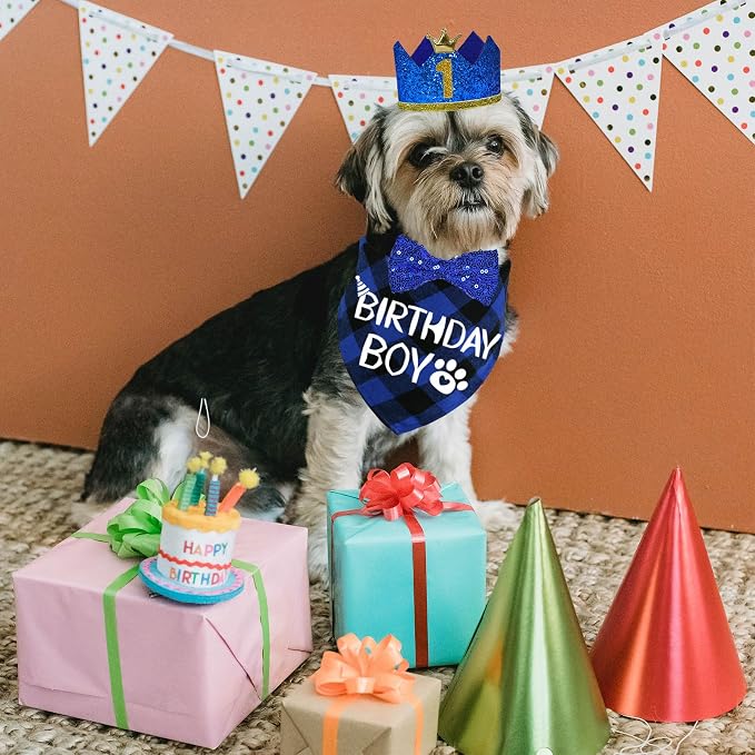 STMK Dog Birthday Party Supplies - Image 7