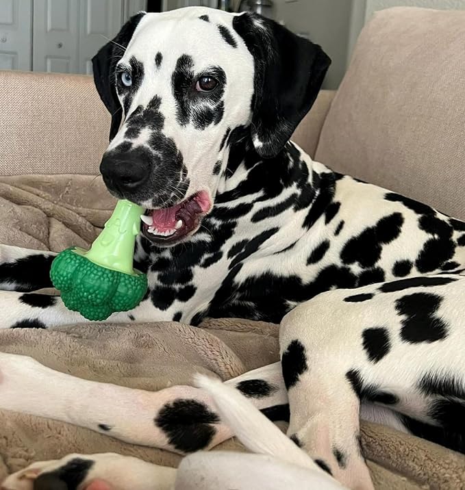 Nylabone Broccoli Power Chew Toy - Image 7