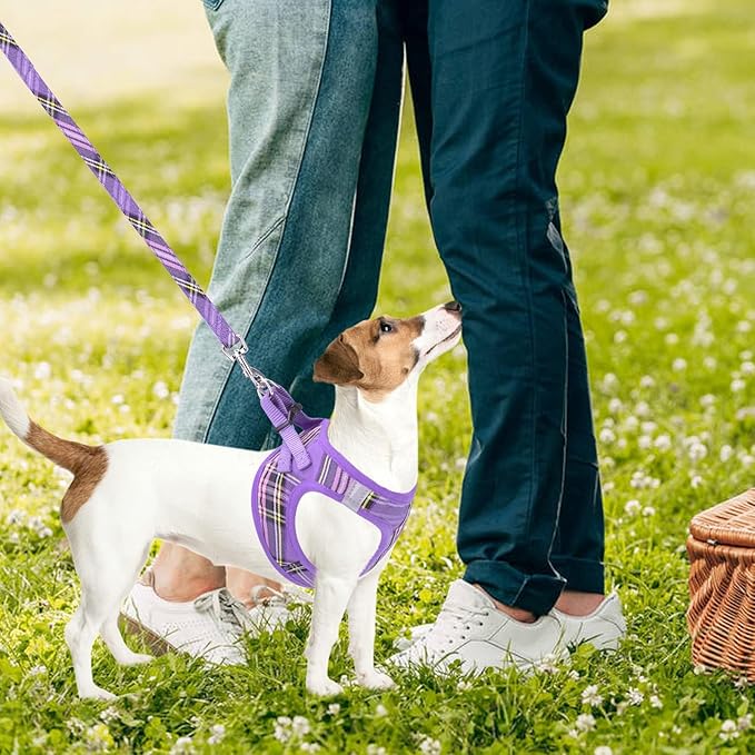 PUPTECK Adjustable Dog Harness Collar and Leash Set Step in No Pull Pet Harness - Image 7