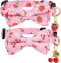 2 Pack Breakaway Cat Collar by Gelwoo