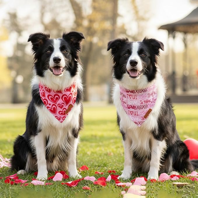 ADOGGYGO Valentine Dog Bandanas 2 Pack, Reversible Heart Love Print Pet Scarf - Image 2