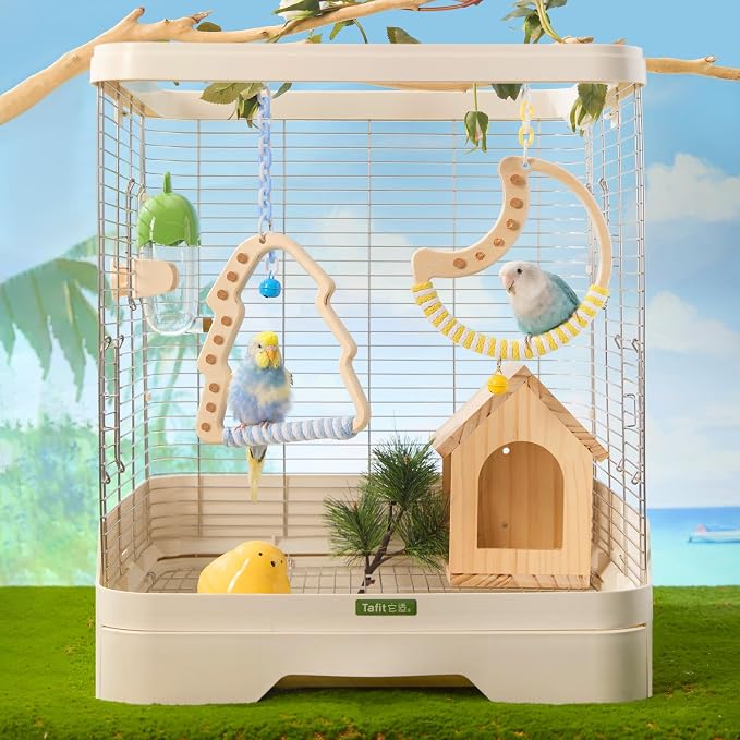 Natural Bird Swing - Image 3