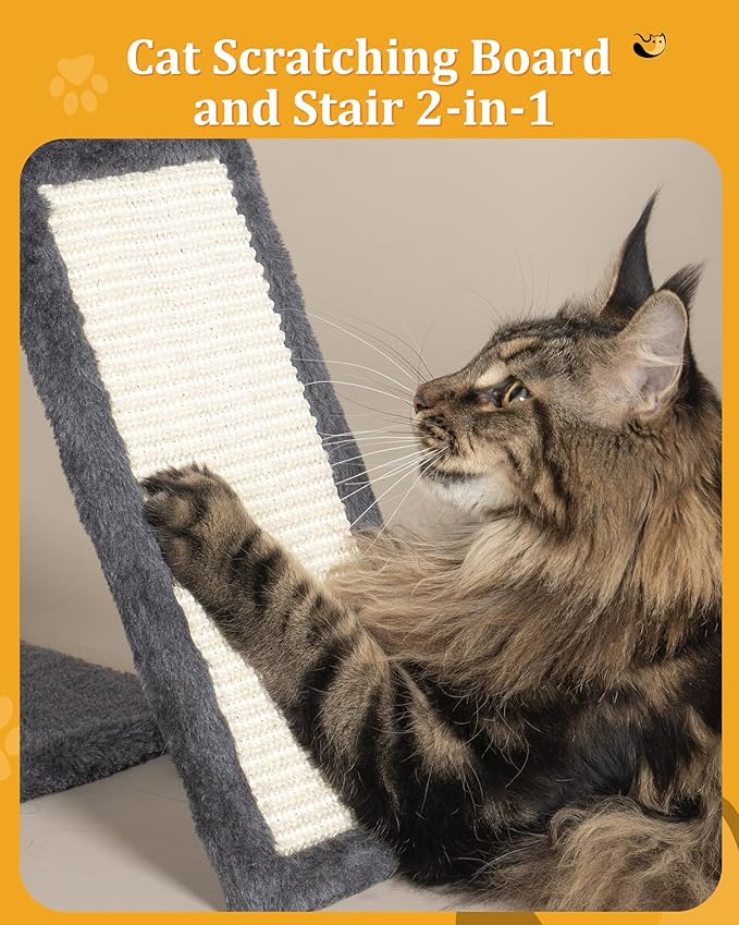 XL Cat Tree Tower for Large Adult Cats 20 lbs+, 25in Perch Bed, Condo Cave for - Image 6