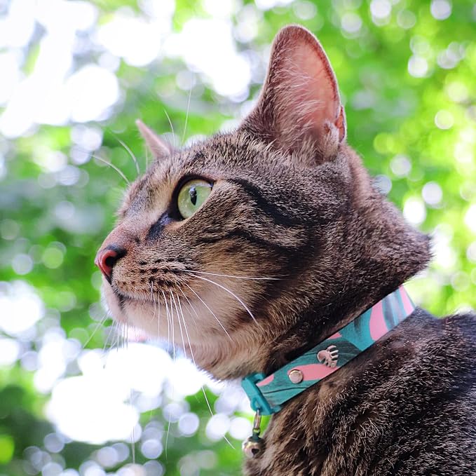 Kittyrama Botanicals Monstera Cat Collar. Award Winning. Hypoallergenic - Image 4
