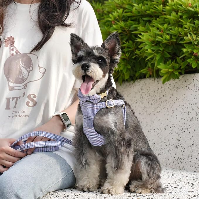 Beirui Cute Small Dog Harness Collar and Leash Set - Image 3