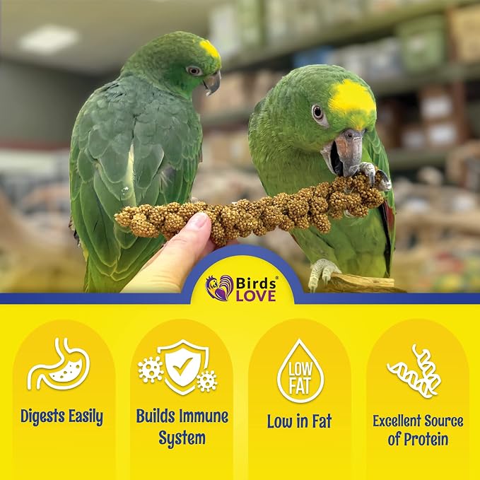 Birds LOVE Economy Special Spray Millet GMO-Free - Image 3