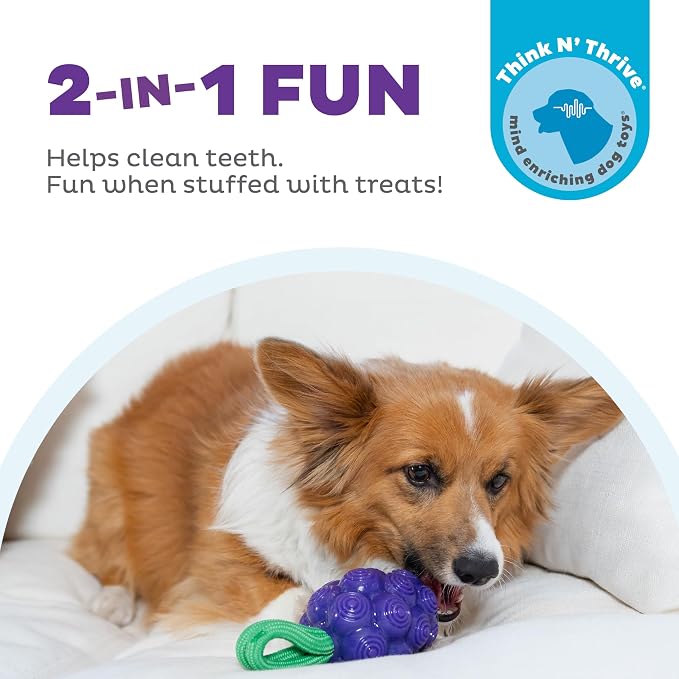 Outward Hound Dental Grapes Dog Toy & Treat Stuffer, 6″ x 3″ Grape-Scent - Image 2