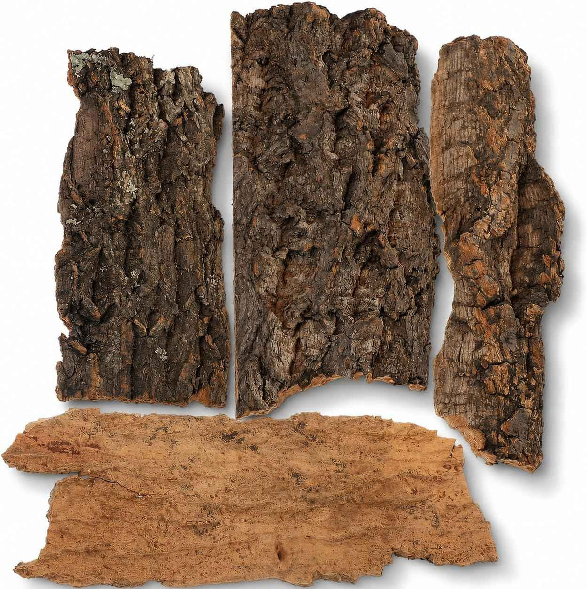 Four-piece natural cork bark flat set
