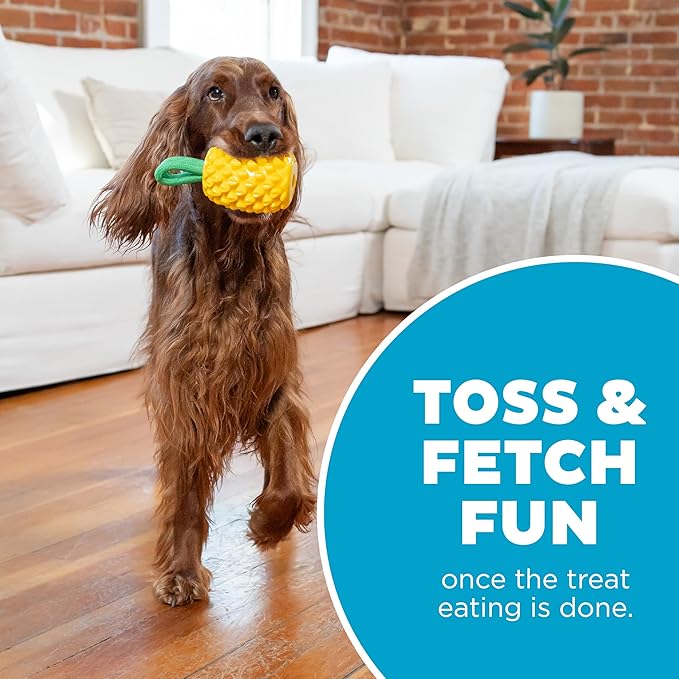 Outward Hound Dental Pineapple Dog Toy & Treat Stuffer, 6.8″ x 3.3″ - Image 5