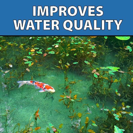 CrystalClear MuckOff, Natural Pond Muck Treatment, Water Garden, Fountain & - Image 9