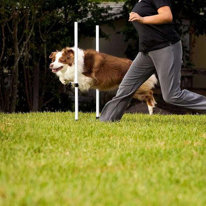 Midlee Dog Agility Bar Jumps- Set of 4 Jumps - Image 9