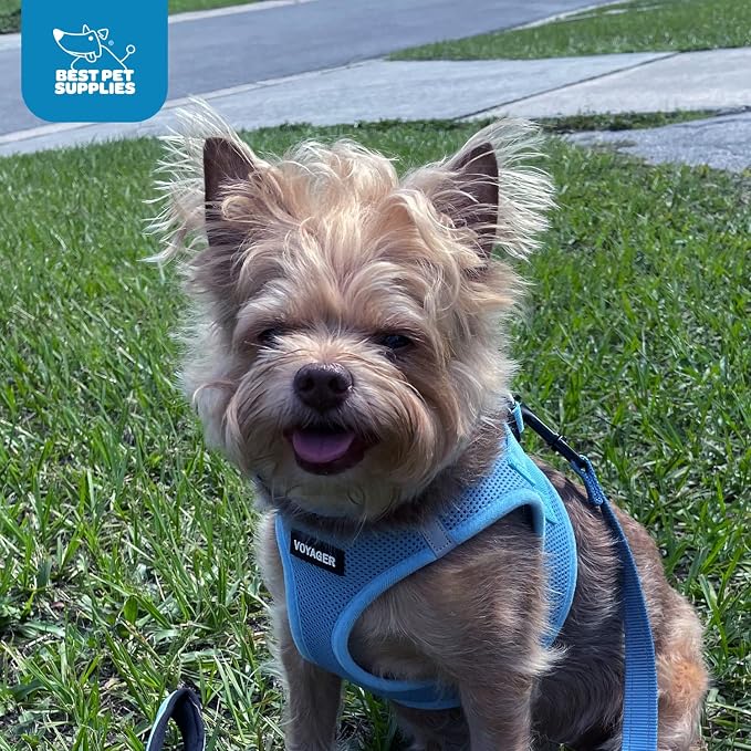 Best Pet Supplies Voyager Step-in Air Harness - Image 11