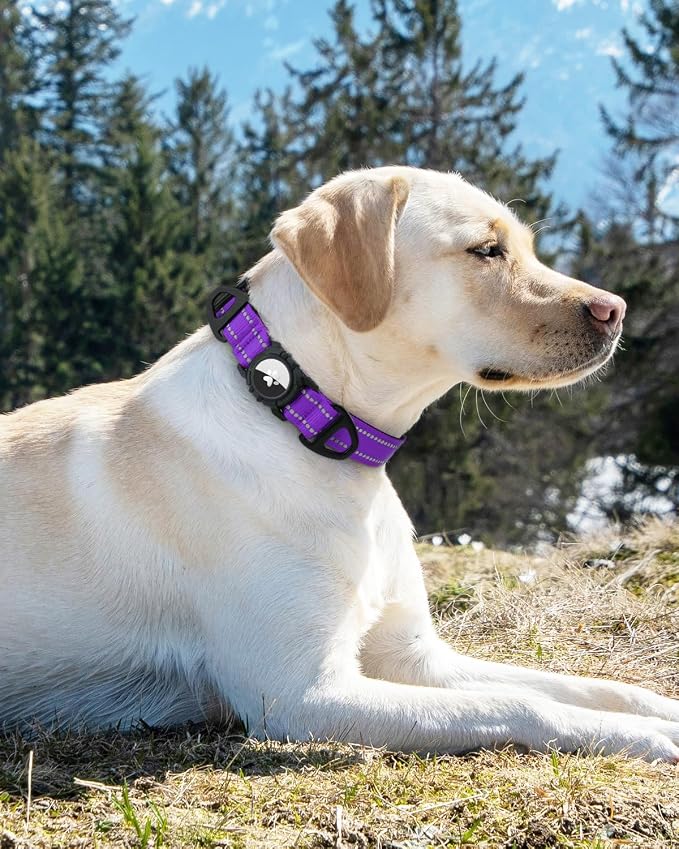 Joytale Airtag Dog Collar, Reflective Pet Collar - Image 8