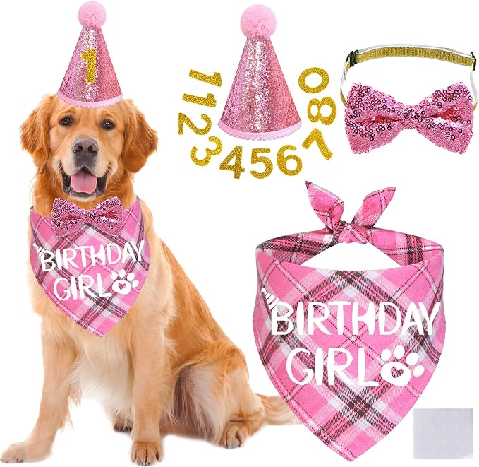 STMK Dog Birthday Outfits by STMK