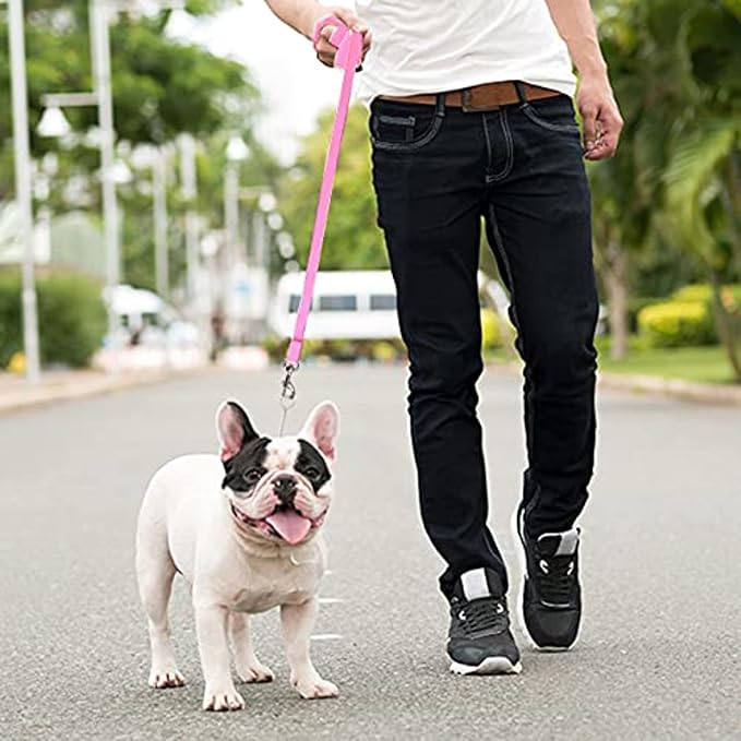 Downtown Pet Supply - Image 5