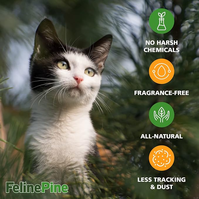 Feline Pine Platinum Non-Clumping Cat Litter, Feline Pine Cat Litter 18lb - Image 2