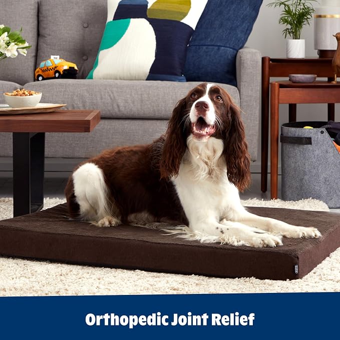 Barkbox Orthopedic Dog Bed - Image 6