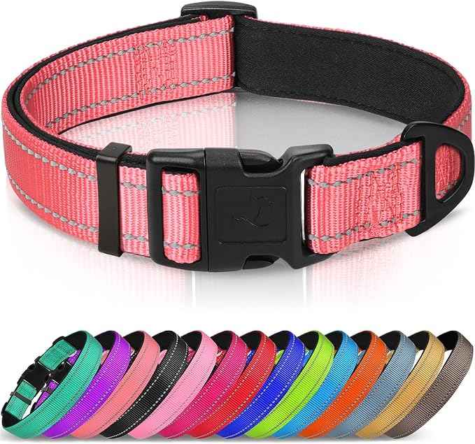 Joytale Reflective Dog Collar, Soft Neoprene Padded, Metal D-Ring, Nylon Pet