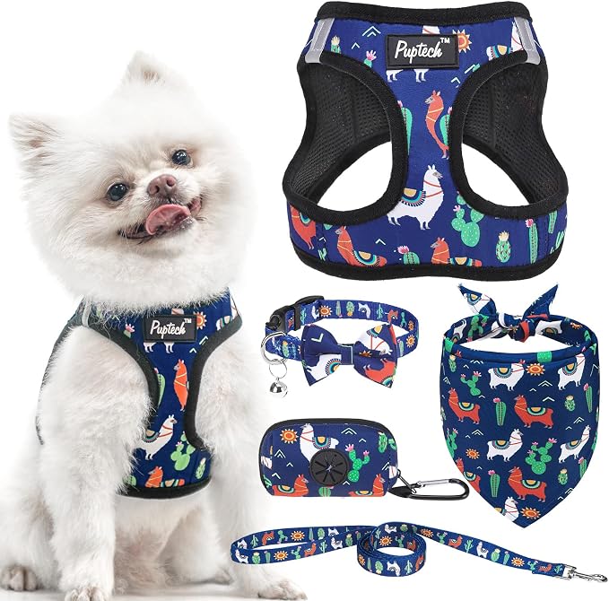 PUPTECK Adjustable Dog Harness Collar and Leash Set, Step in No Pull Pet Harness by PUPTECK