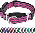 Hikiko Martingale Dog Collars Reflective Nylon Dog Collar by Hikiko