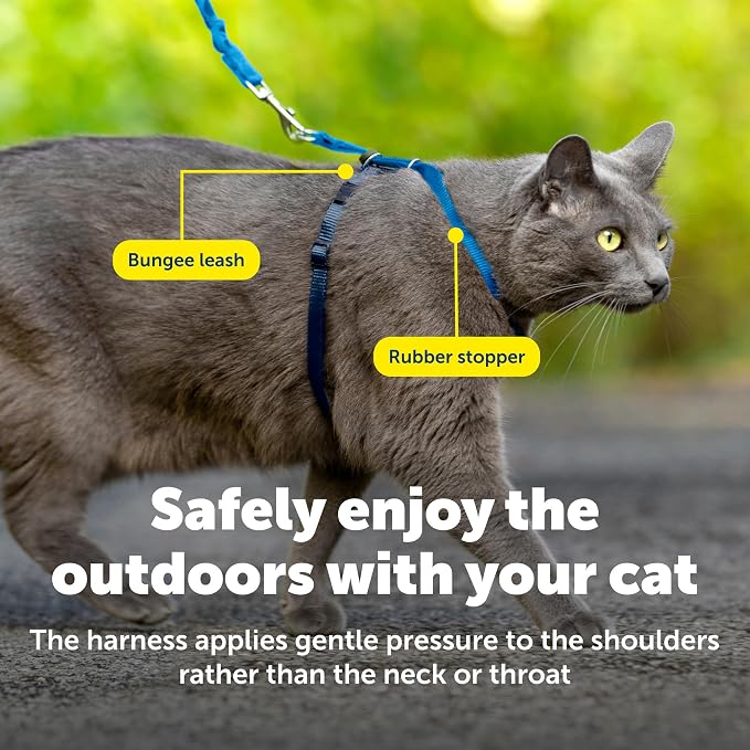 PetSafe Come With Me Kitty Cat Harness & Bungee Leash - Image 7