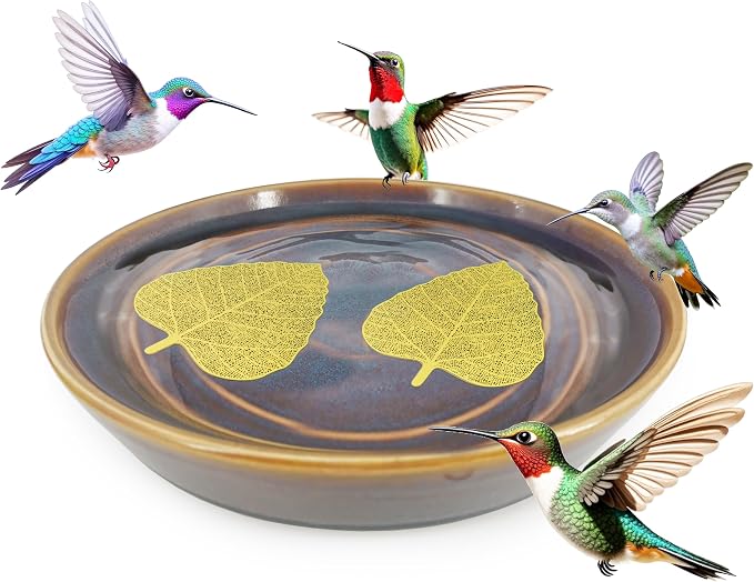 RONDURE 2 pcs Bird Bath Purification Disk Copper 4 Inch Copper Disc - Image 3