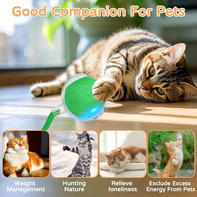 2025 New 1Pack Cat Ball Kitten Toys - Image 5