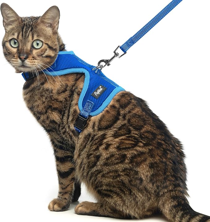 PUPTECK Cat Harness and Leash Set Escape Proof, Reflective Adjustable Soft Mesh by PUPTECK