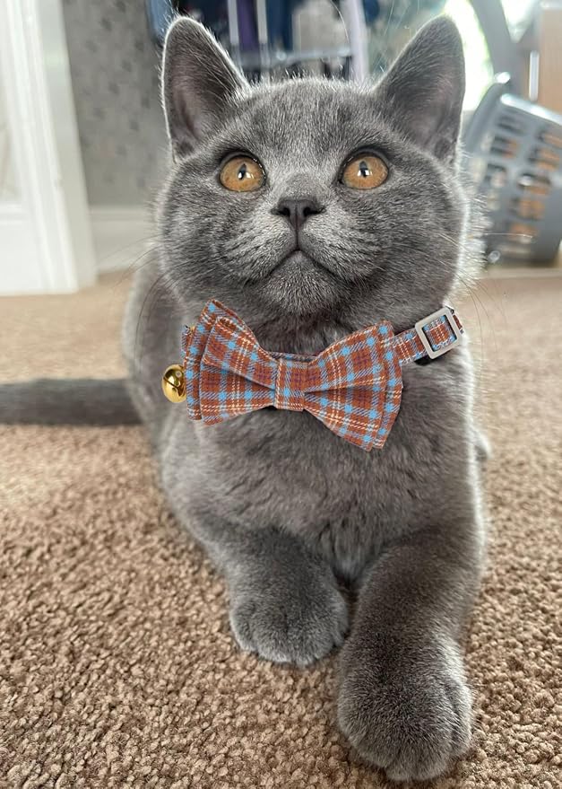 2 Pack Cotton Cat Collar, Removable Bowtie, Plaid Pattern, Safety Breakaway - Image 8