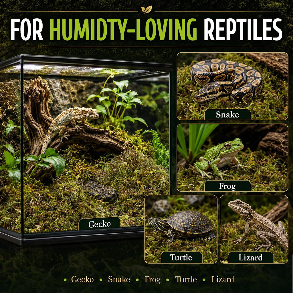 Sukh Green Sphagnum Moss Reptile Substrate, 5oz - GlobalHabitat Supply