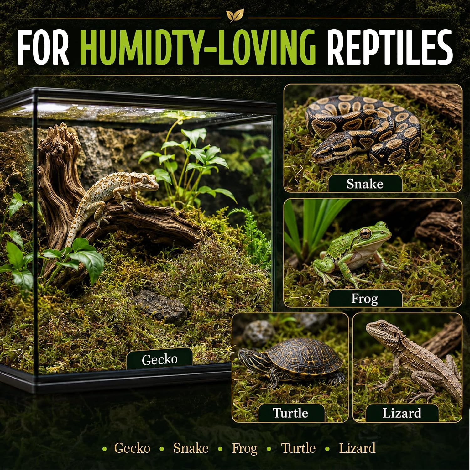 Sukh Green Sphagnum Moss Reptile Substrate, 5oz - GlobalHabitat Supply