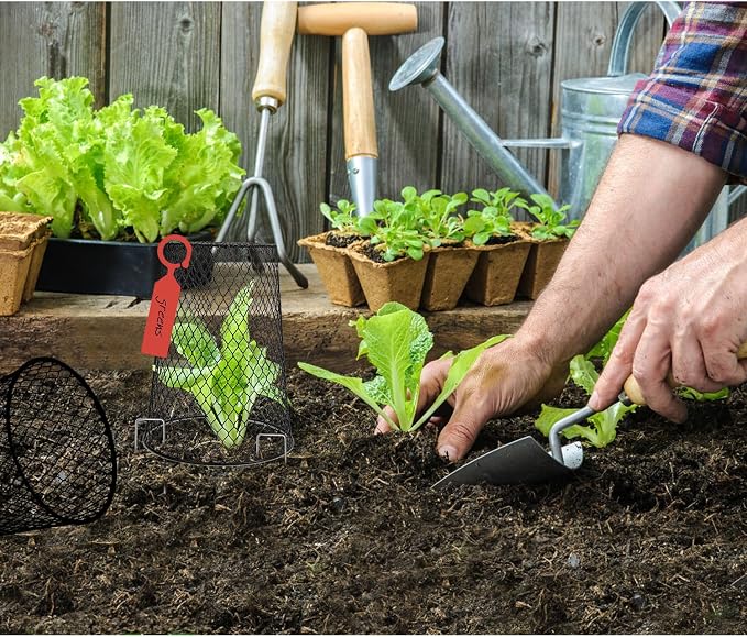 20 Pcs 6.8"×7.4" Seedling Plant Protectors from Animals, Chicken Wire Plant - Image 7