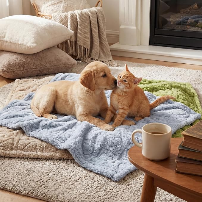 Tegeme 3 Pcs Small Dog Blanket 280 GSM Washable Pet Bed Cover Soft Fluffy Puppy - Image 6
