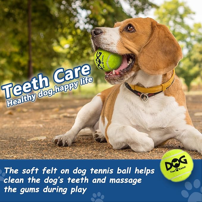 Tennis Balls for Dogs - Image 4