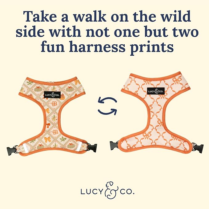 Lucy & Co. Cute Reversible Dog Harness Walking Halter - Image 4