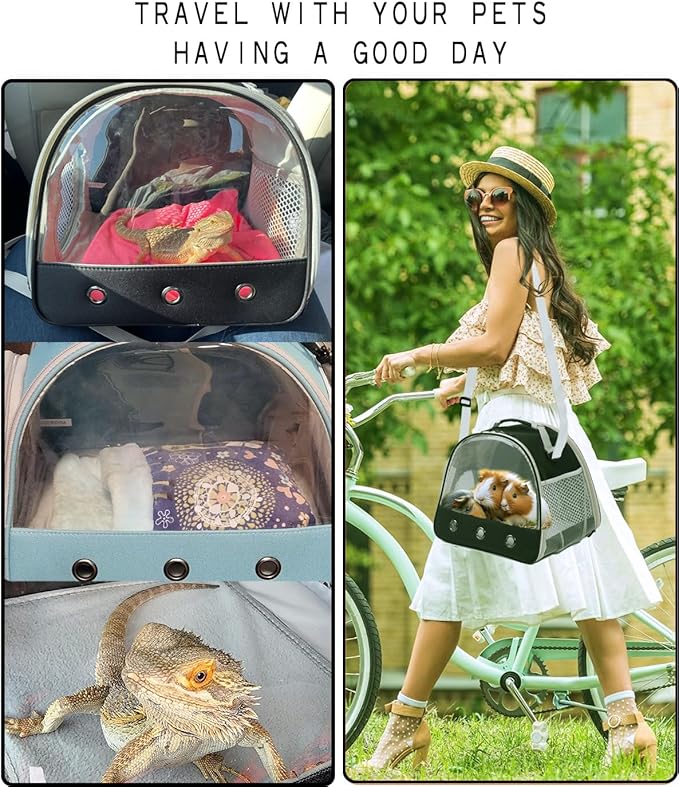 Bearded Dragon Travel Carrier, Lizards Carrier, Small Animal Travel Carrier - Image 8