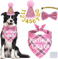 STMK Dog Birthday Outfits by STMK