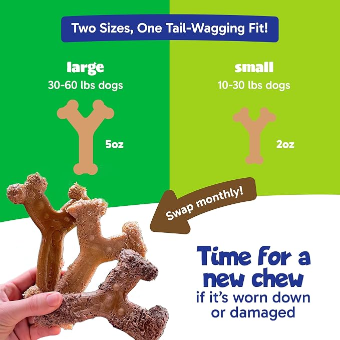 Chew'ems Durable Chewy Dog Toys | Long-Lasting & Flavorful Chew Dog Toys - Image 5