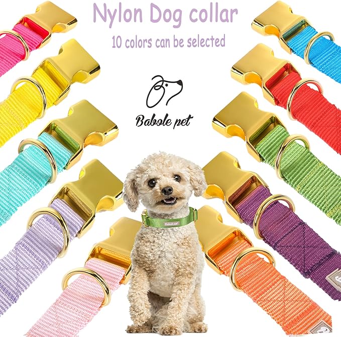 Nylon Dog Collar - Image 7