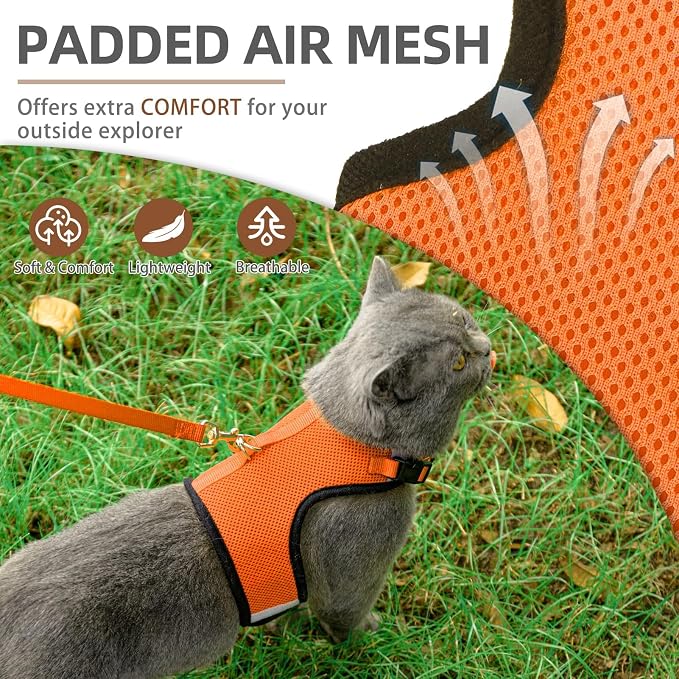 PUPTECK Soft Mesh Cat Vest Harness and Leash Set Puppy Padded Pet Harnesses - Image 2