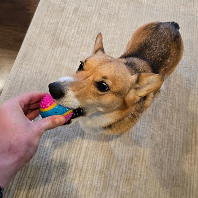 SPOT Sensory Ball for Soft Chewers - Image 11