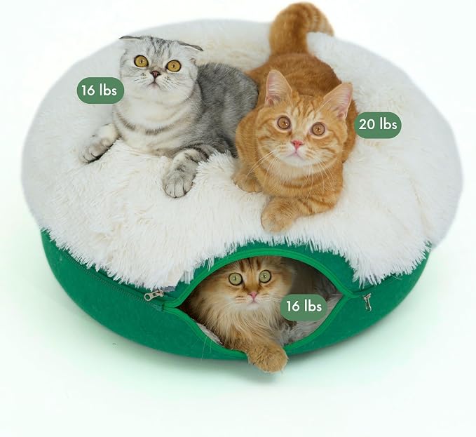 CATTASAURUS Peekaboo Cat Cave for Multiple & Large Cats Up to 30-45 Lbs by Cattasaurus