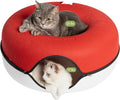 Cattasaurus Peekaboo Cat Cave Donut by Cattasaurus