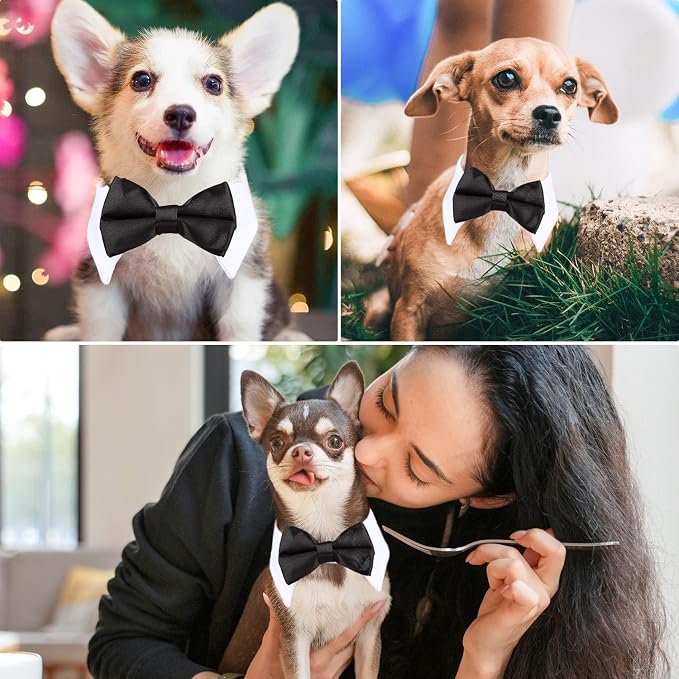 Segarty Bow Tie Cat Collar for Neck Girth 8.8-10.5 in, Tux Puppies Dog Bowtie - Image 4