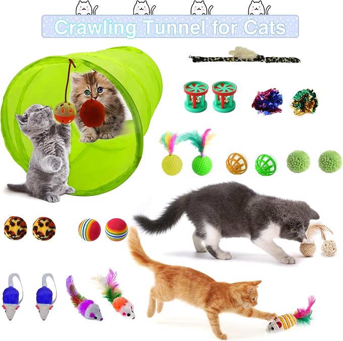 39PCS Kitten Starter Kit, Cat Supplies, Featuring 23-Piece Toy Set, Single-use - Image 3