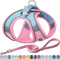 AIITLE Easy Walk Dog Harness and Leash Set by AIITLE-FORPETSBETTERLIFE