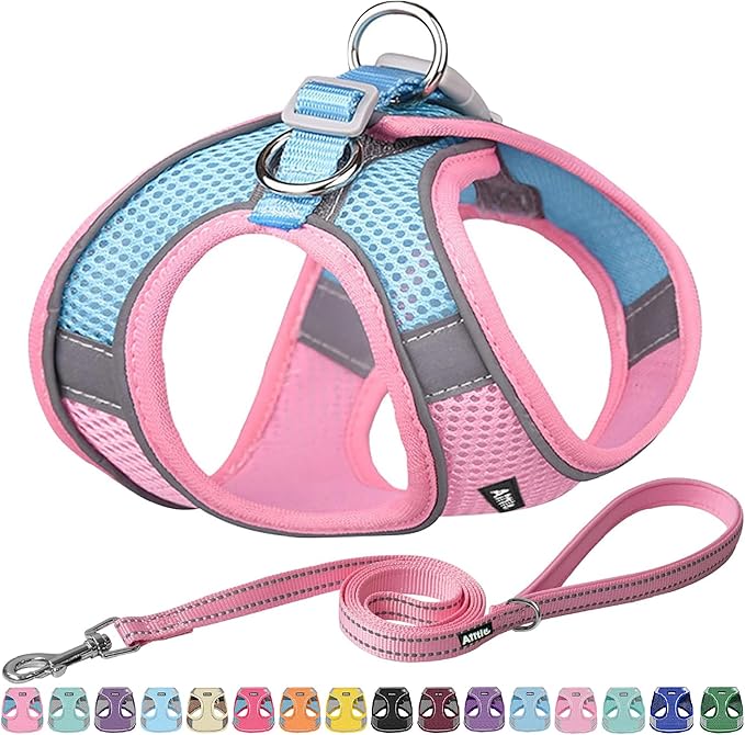 AIITLE Dog Harness, No-Pull Cat Harness by AIITLE-FORPETSBETTERLIFE