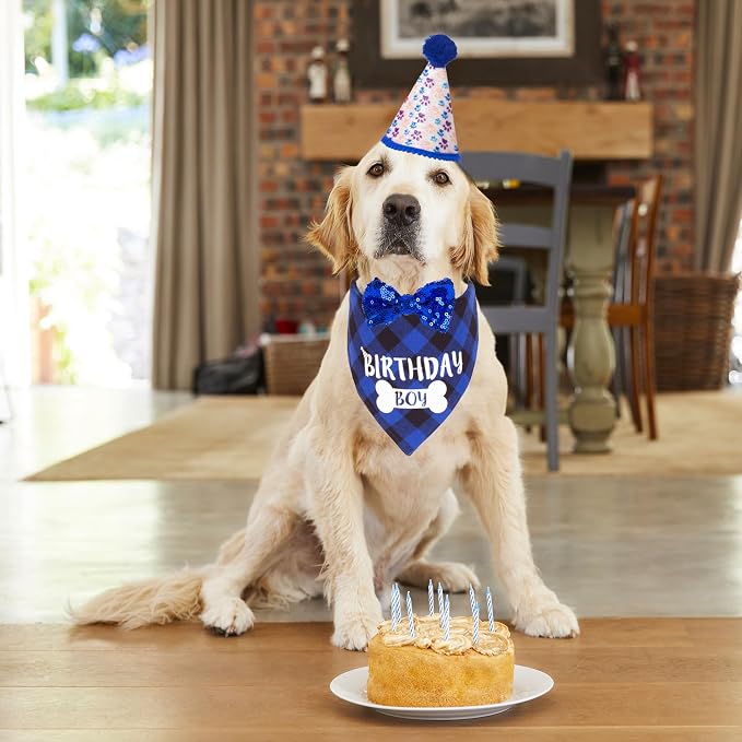 ADOGGYGO Dog Birthday Party Supplies, Pet Party Hat - Image 2