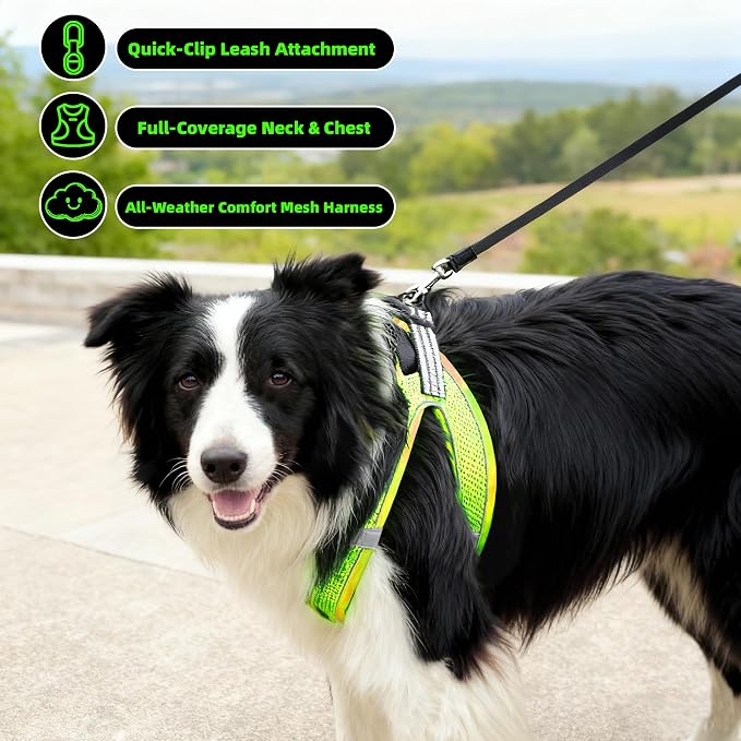 ROYPET Step-in Air Dog Harness, All Weather Mesh Step in Vest Harness - Image 3