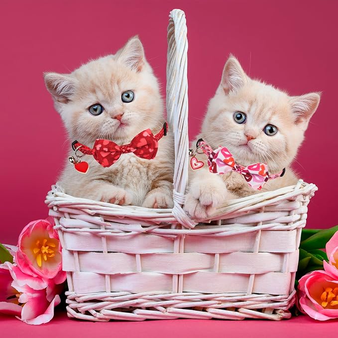 ADOGGYGO Valentine Cat Collars - Image 3